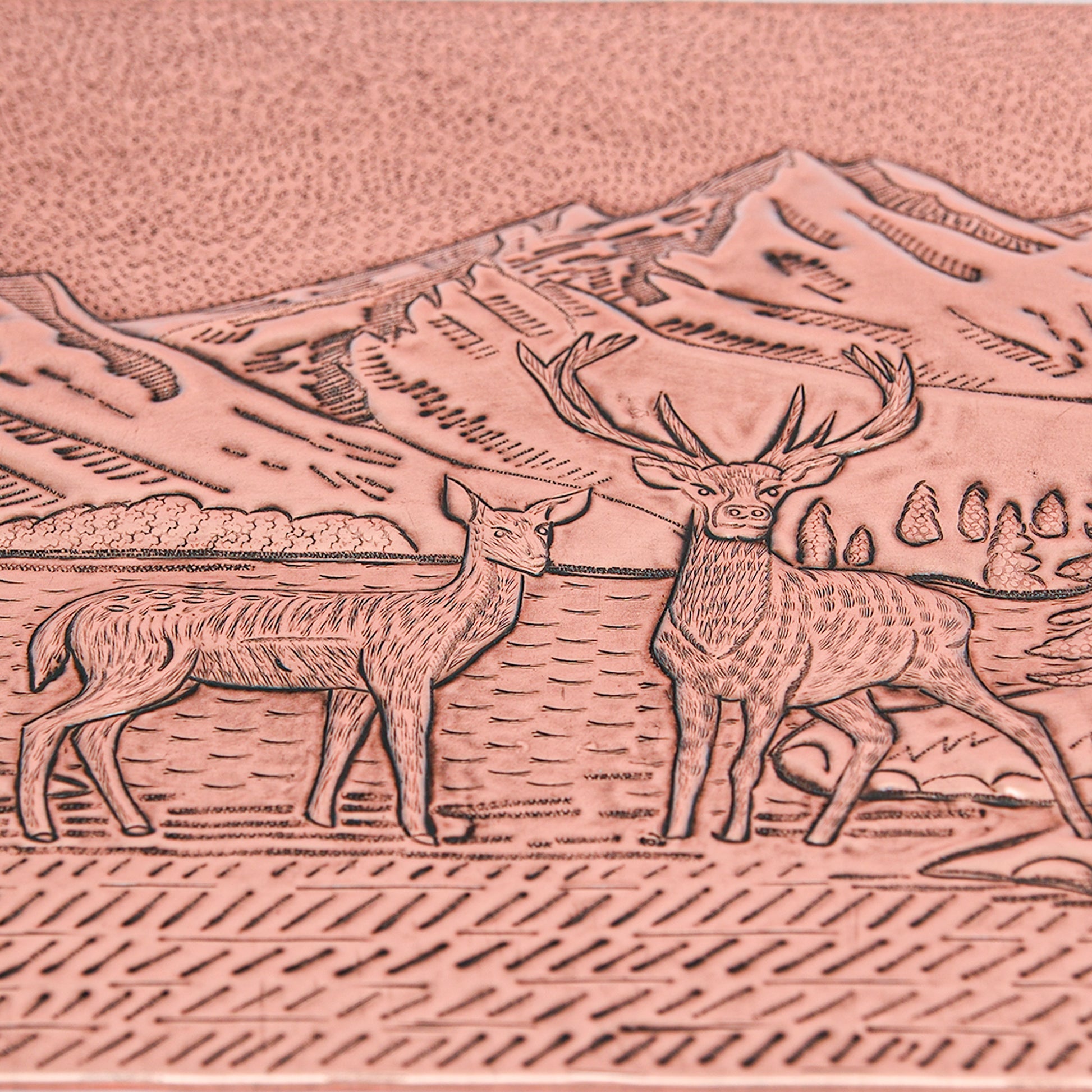 Wild Nature Scene Copper Kitchen Backsplash - Natuross