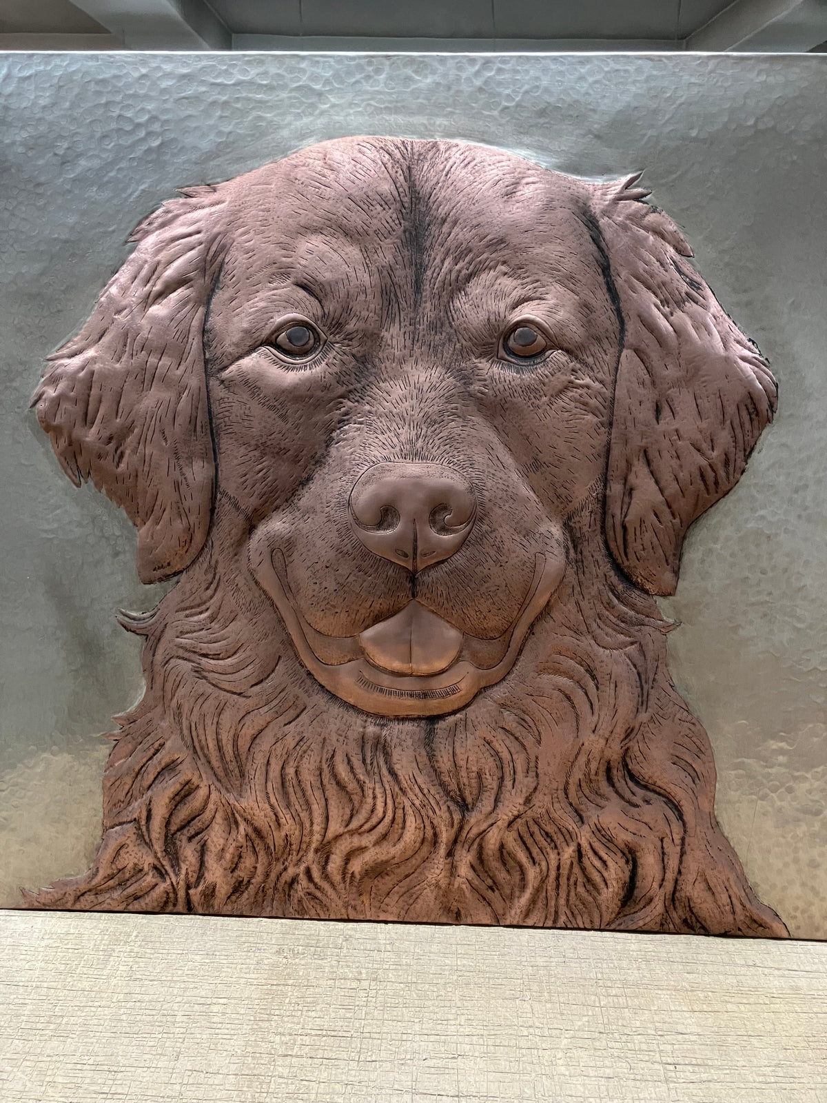 Dogs