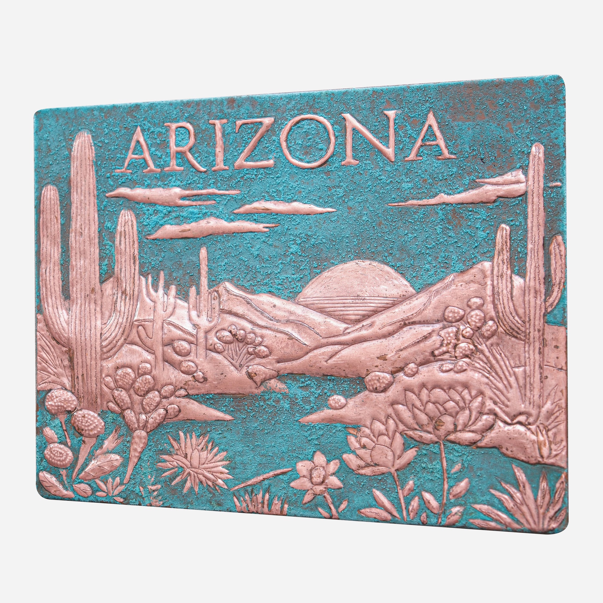 Arizona Desert Scene Kitchen Backsplash Tile