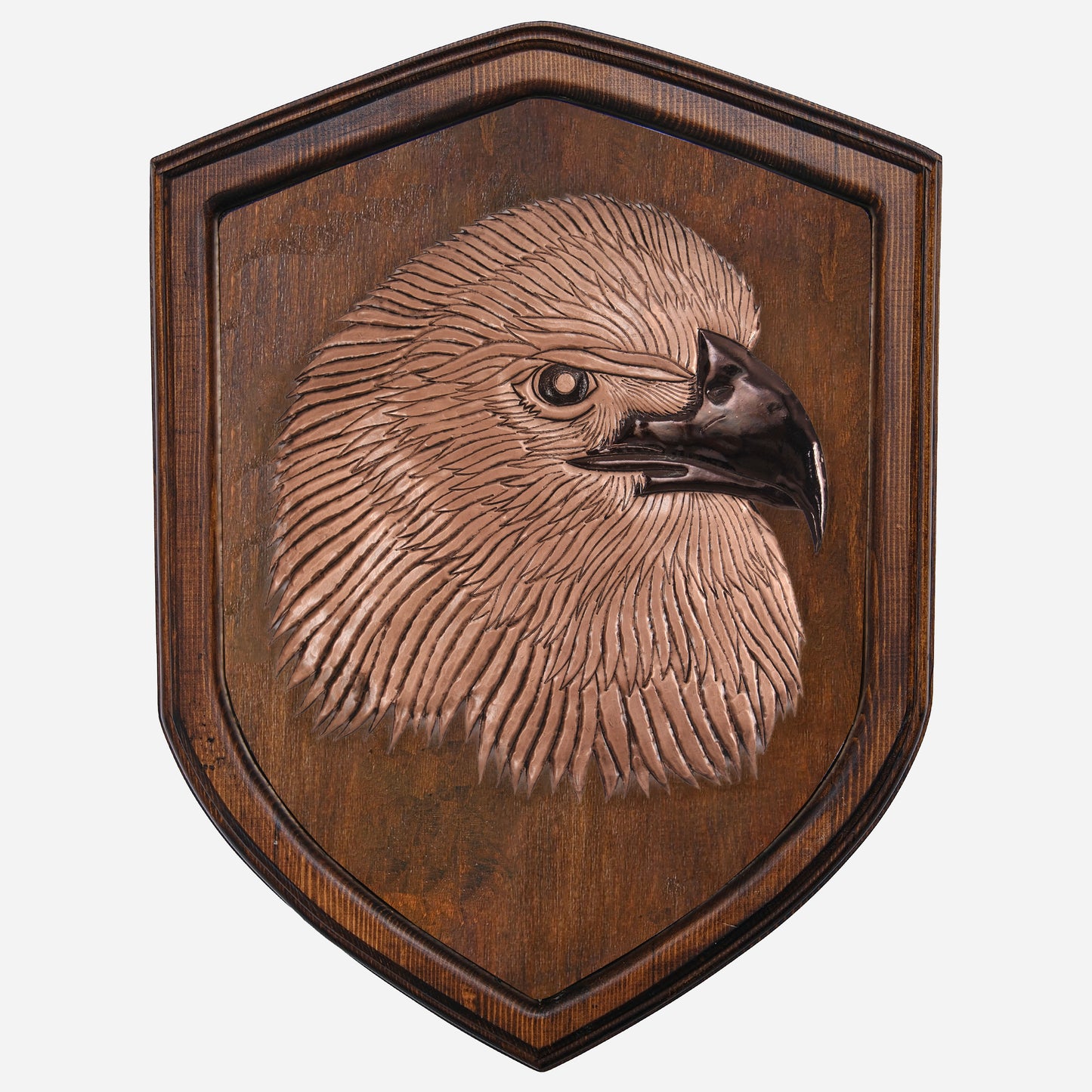 Copper Eagle Head on Wood Plaque