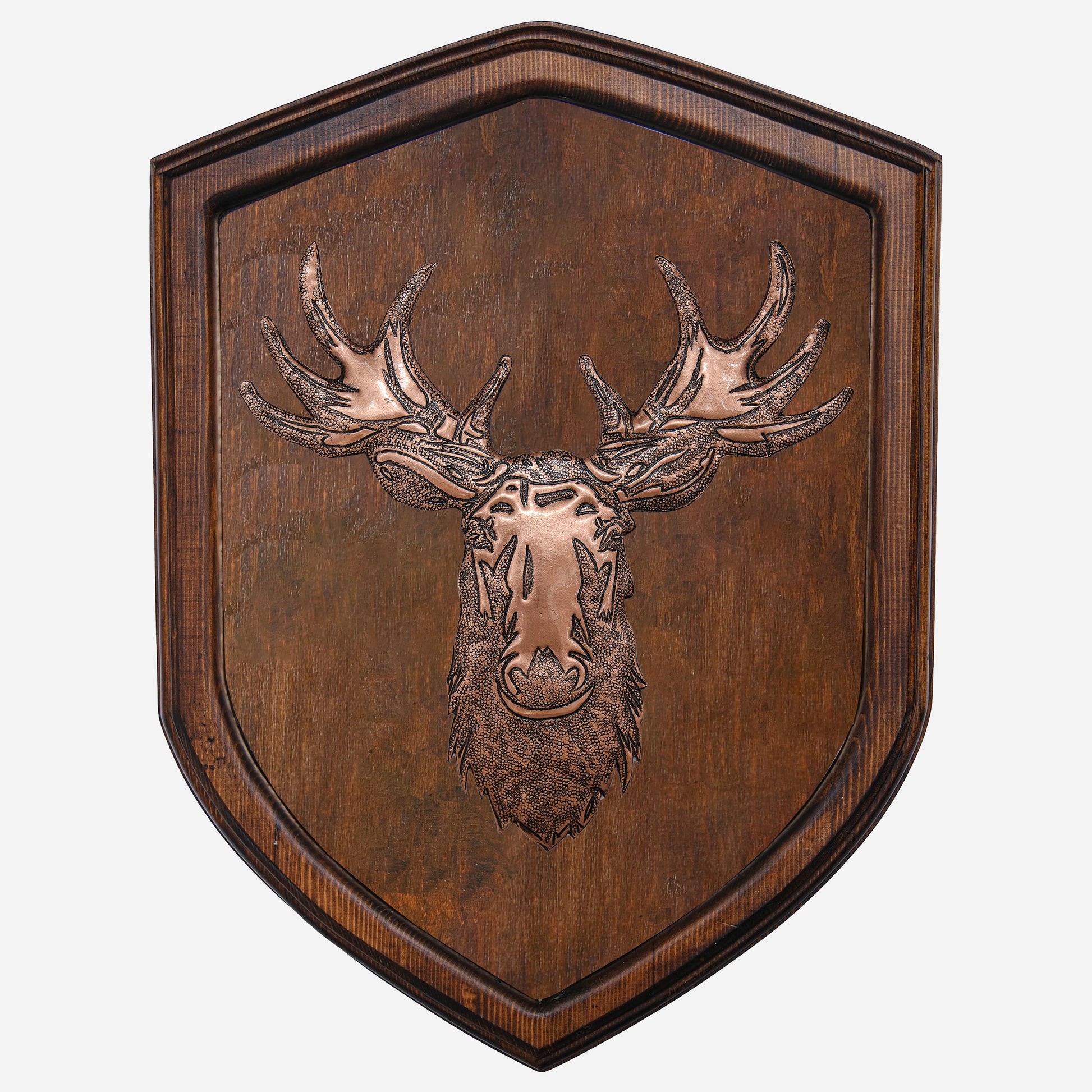 Copper Moose Head on Wood Plaque