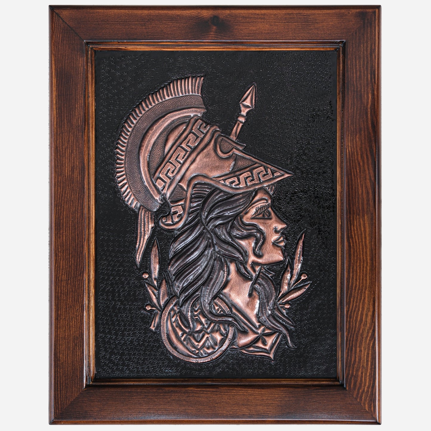 Copper Greek Warrior Woman Framed Wall Art 17.7x23.6" Black Patina