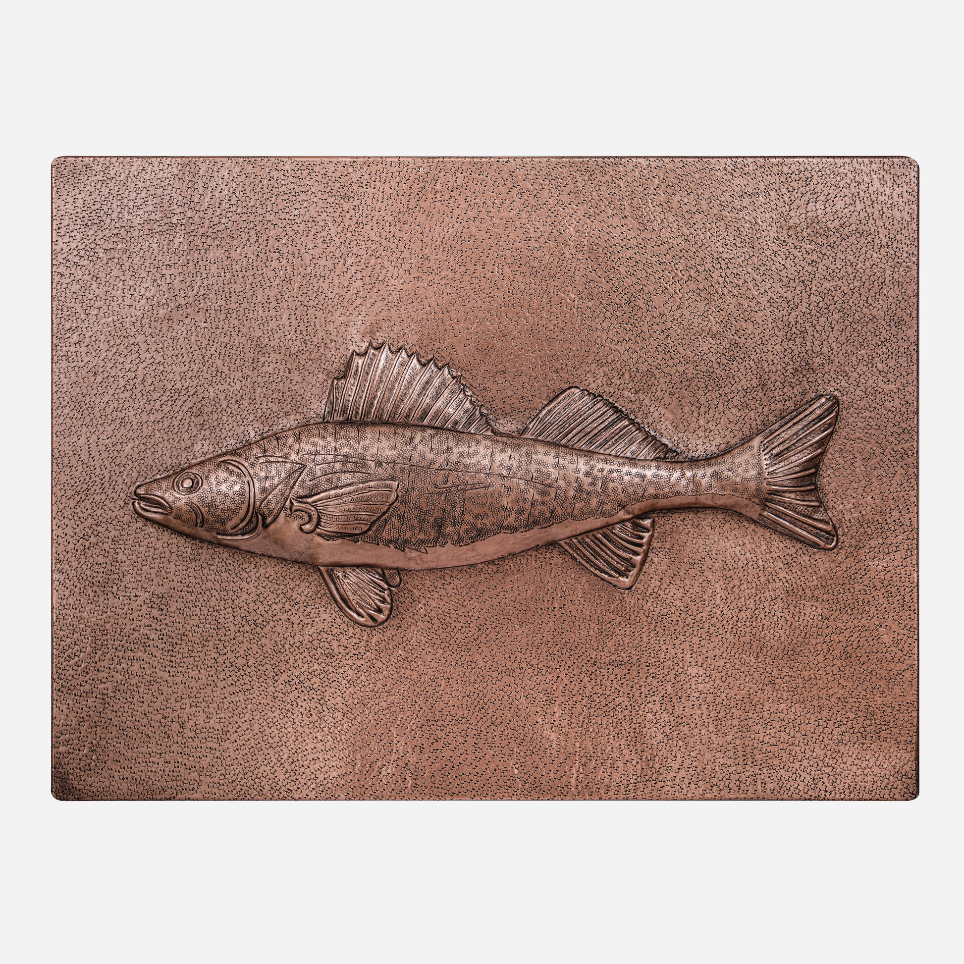 Copper Backsplash Panel (Striped Bass Fish)