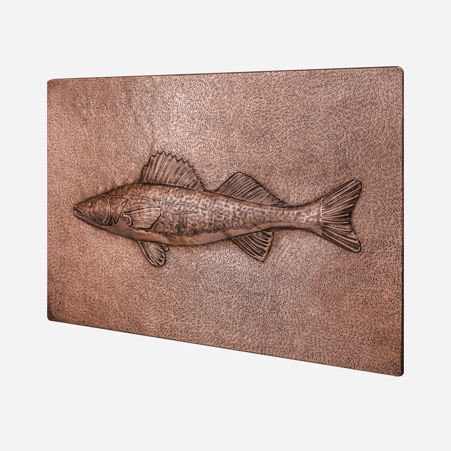 Copper Backsplash Panel (Striped Bass Fish)