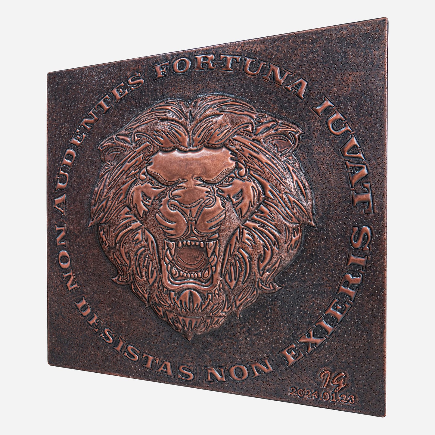 Copper Backsplash( Roaring Lion, "Fortuna Audaces Iuvat")