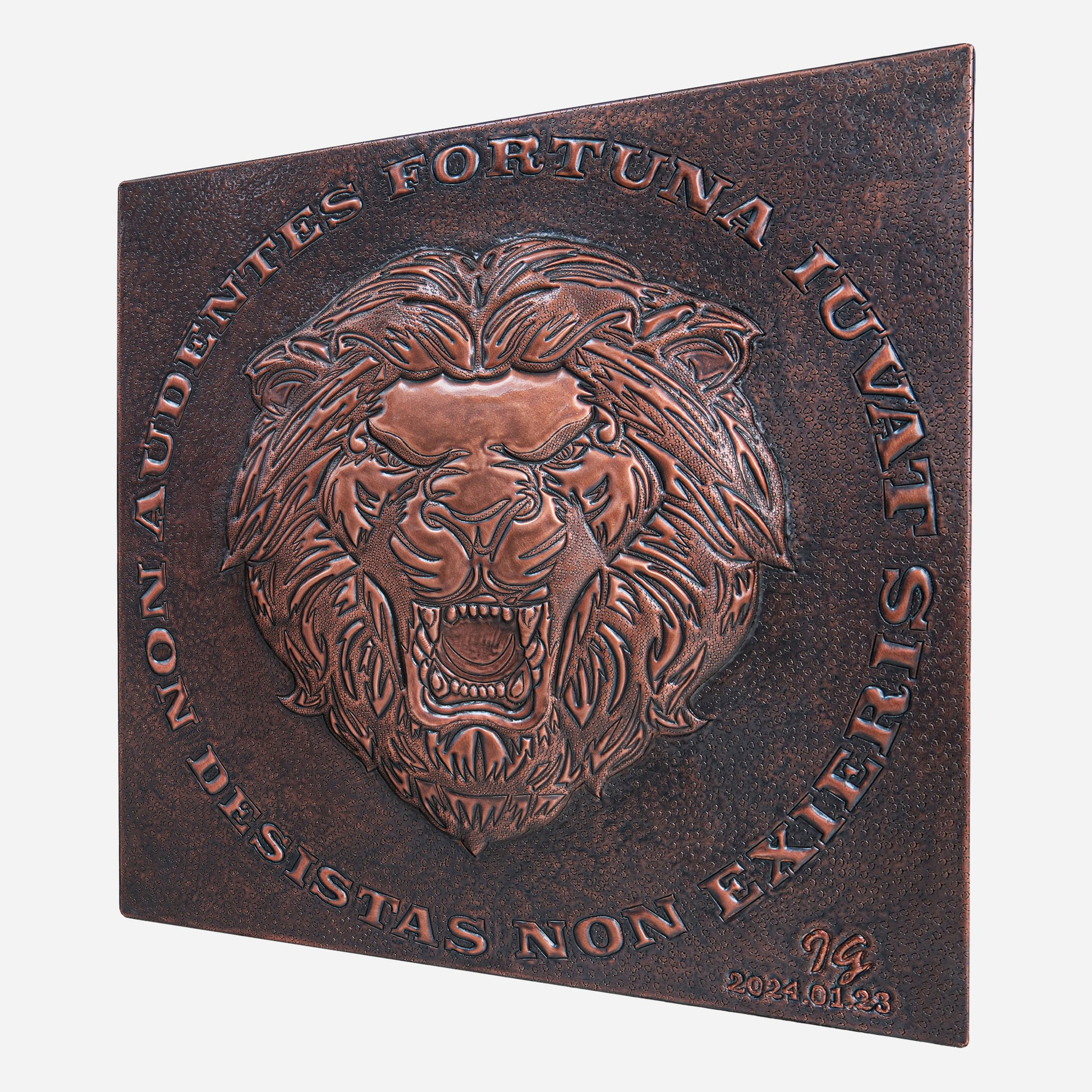 Copper Backsplash( Roaring Lion, "Fortuna Audaces Iuvat")