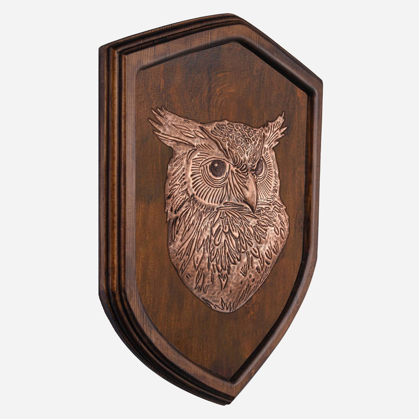 Copper Owl Head on Wood Plaque