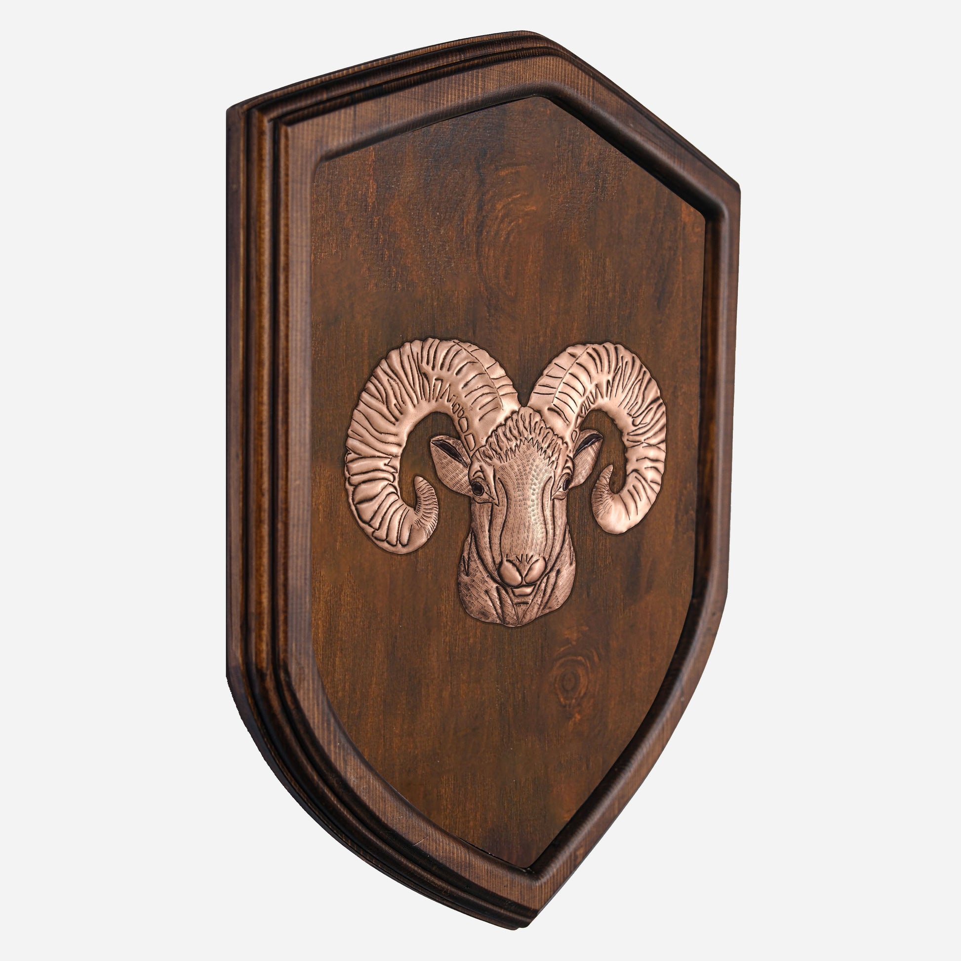 Copper Ram Head on Wood Plaque