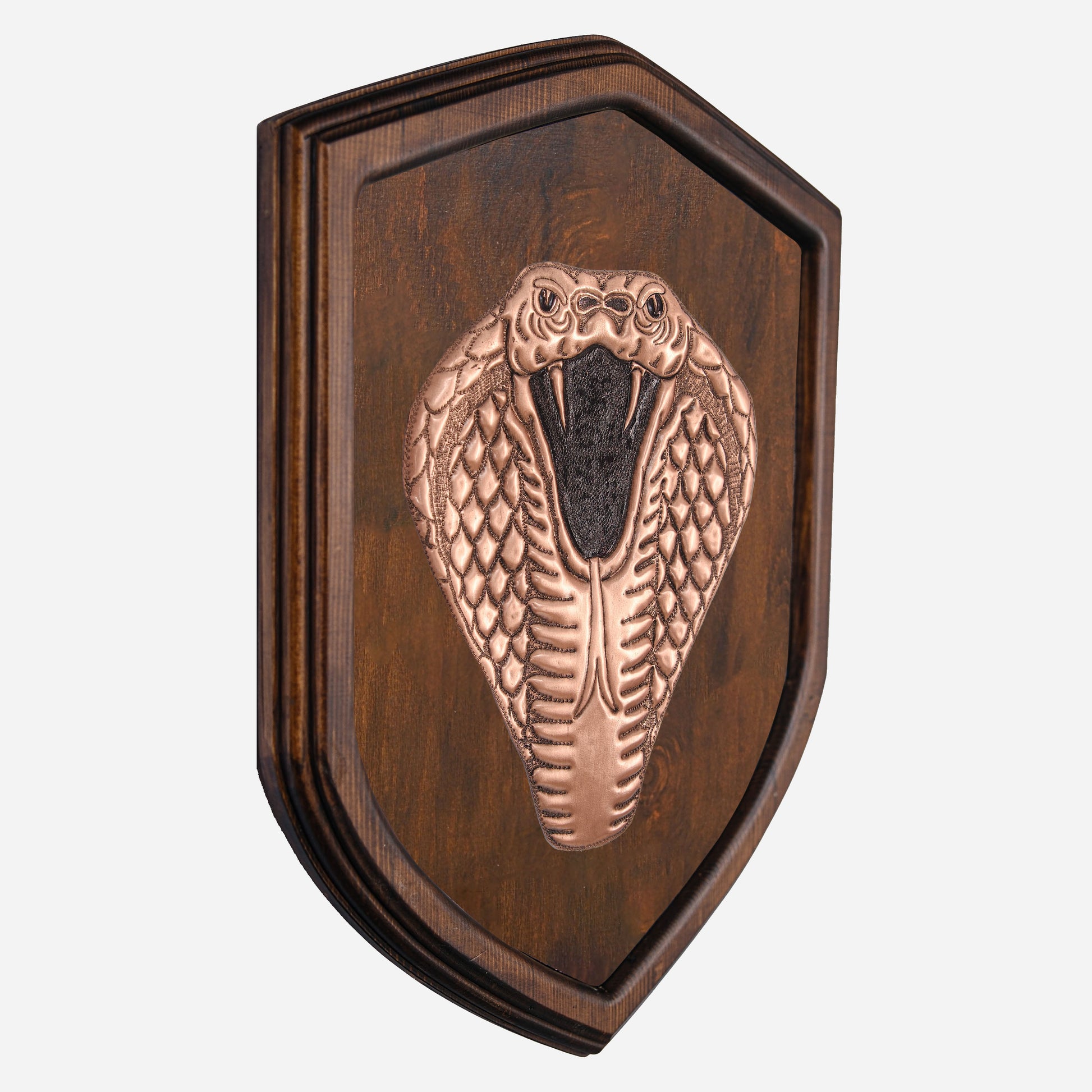 Copper Snake Head on Wood Plaque