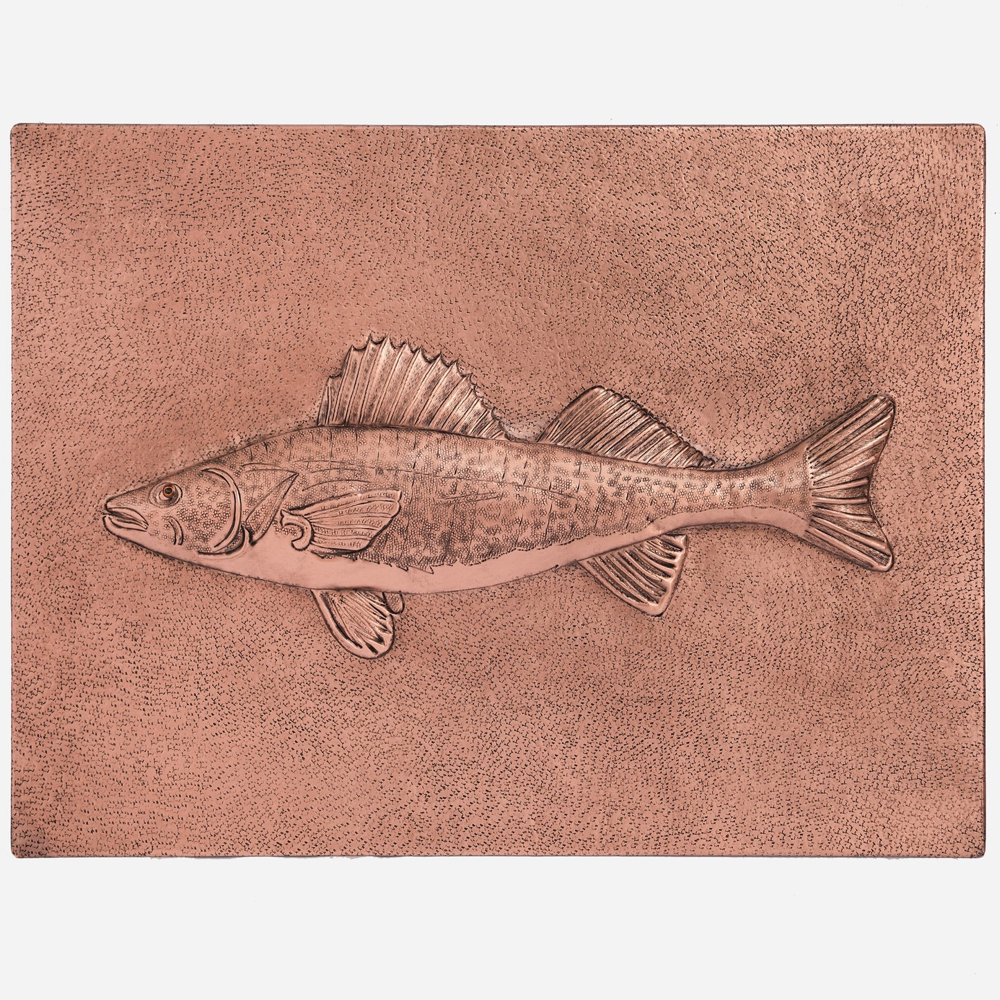 Copper Striped Bass Fish Wall Art 17.7"x23.6"