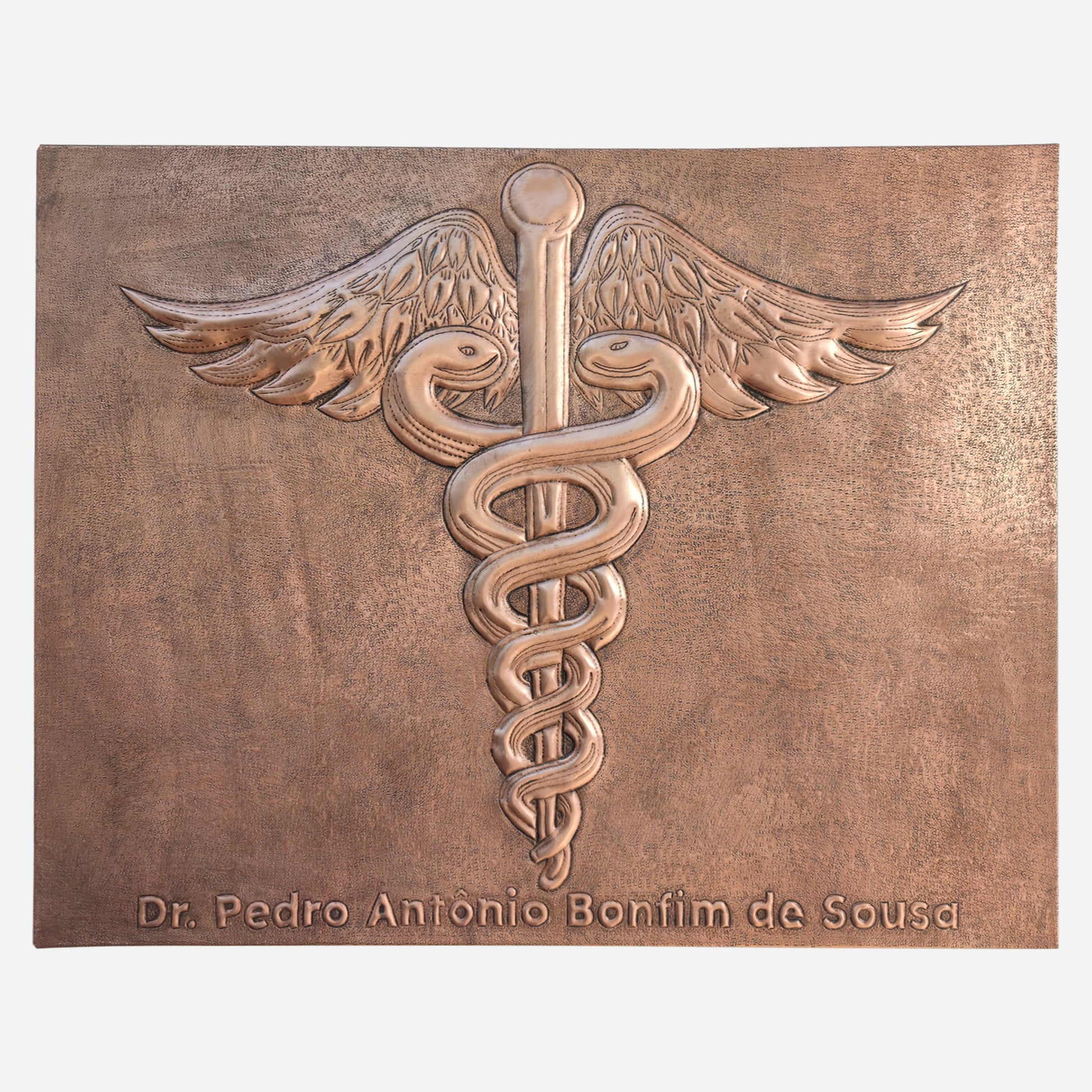 Custom Doctor Name Plate (Caduceus Symbol) - Natuross