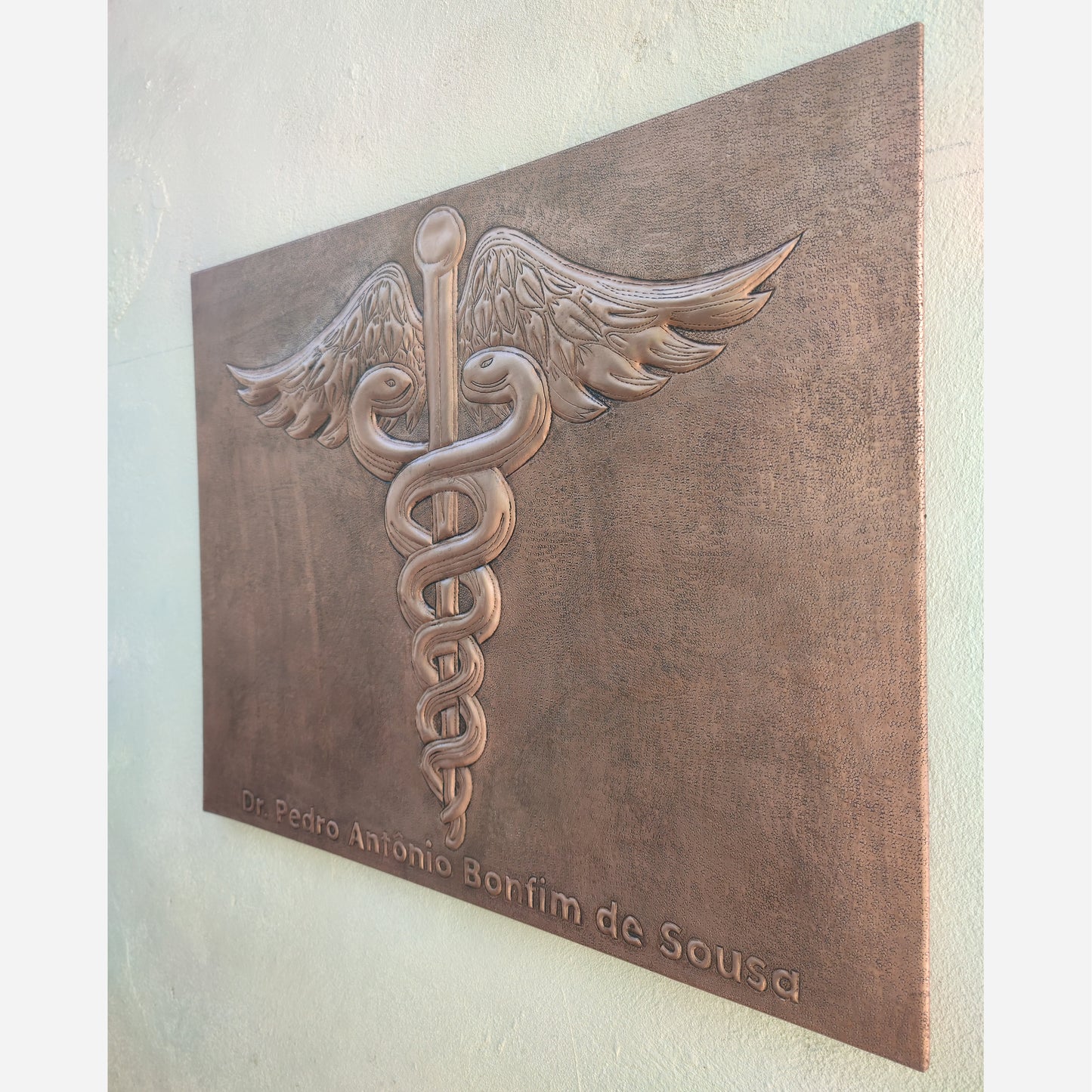 Custom Doctor Name Plate (Caduceus Symbol) - Natuross