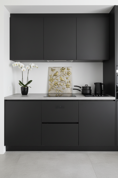 Modern minimalist kitchen contrast