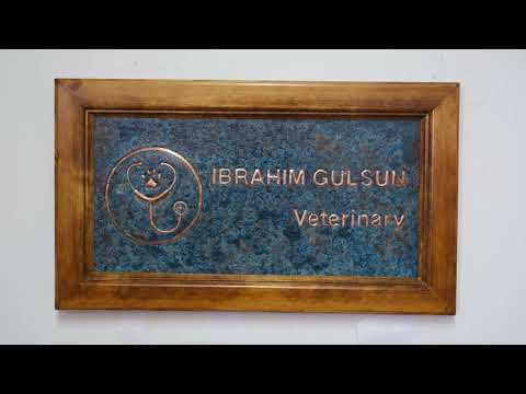 Copper Veterinary Name Sign for Wall (Blue Patina)